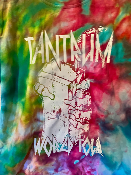 Toddler 5/6 tantrum tour